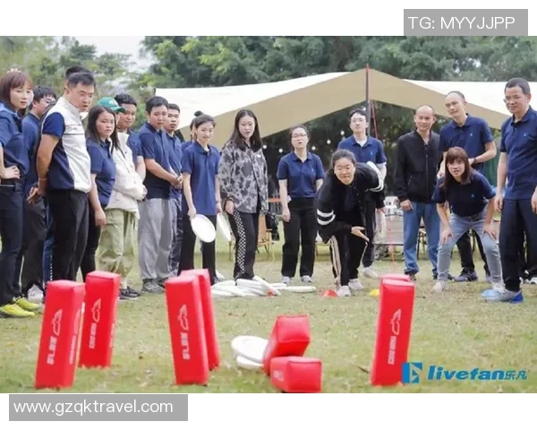 飞盘竞技的魅力：深入了解深圳飞盘队的团队协作与精神风貌MBA